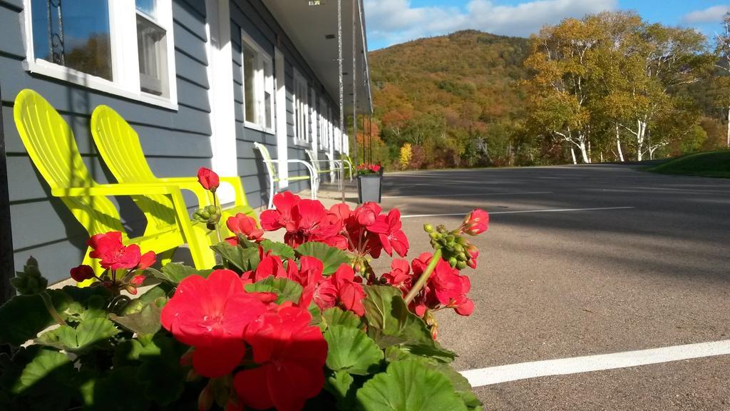 Cornerstone Motel Шетикам Экстерьер фото